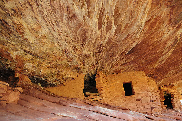 DSC_1557.jpg (4288x2848) NIKON D300 - 18-200mm f/3.5-5.6 // F4 // 1/60 sec // ISO 400 // 20,0 mm // Flash fired, return detected // 2008:07:09 09:47:59 DSC_1557.jpg (4288x2848) NIKON D300 - 18-200mm f/3.5-5.6 // F4 // 1/60 sec // ISO 400 // 20,0 mm // Flash fired, return detected // 2008:07:09 09:47:59